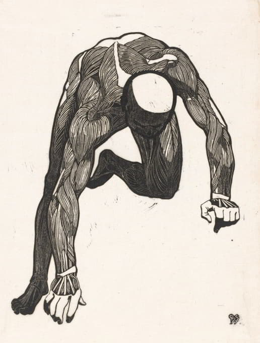 Reijer Stolk - Anatomische studie van de hals-, arm- en beenspieren van een man