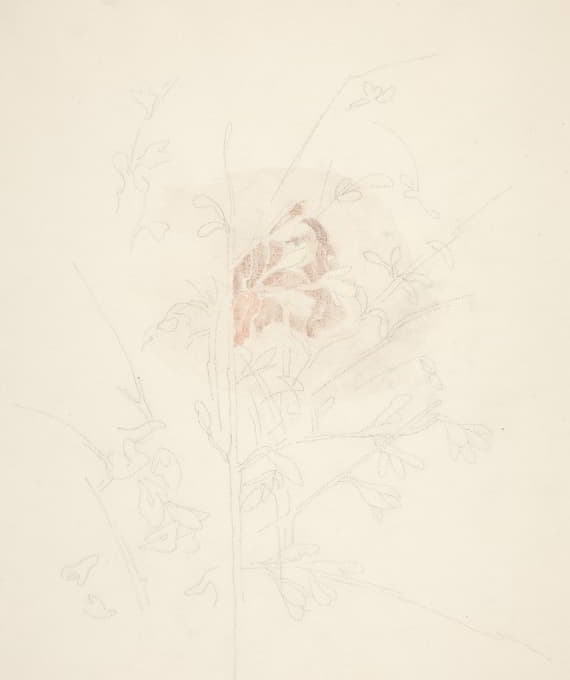 Charles Demuth - Flower