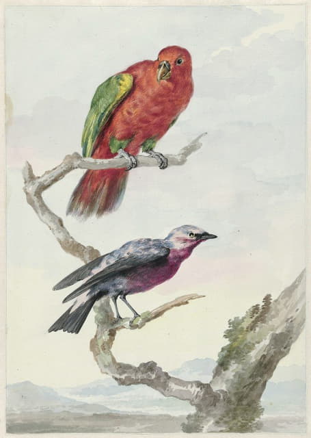 两只鸟，包括一只红绿色的鹦鹉
