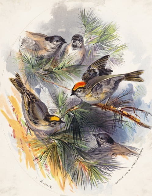 Henry Walker Herrick - Birds