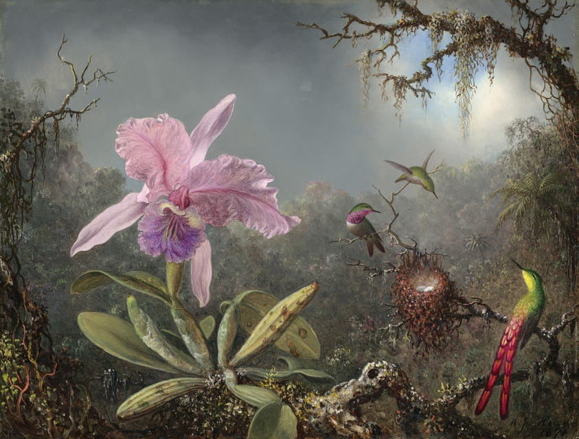Martin Johnson Heade - Cattleya Orchid and Three Hummingbirds