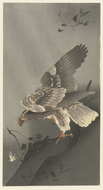 Ohara Koson - Eagle lurking for prey