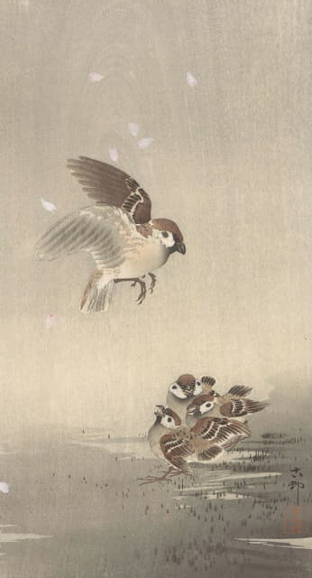Ohara Koson - Tree sparrow with young
