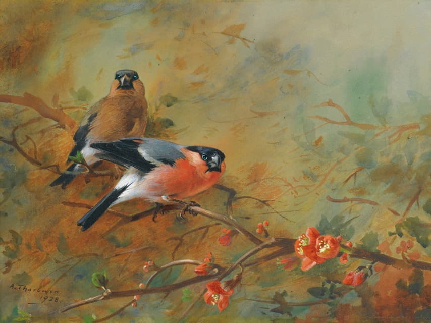 Archibald Thorburn - Bullfinches And Pyrus Japonica