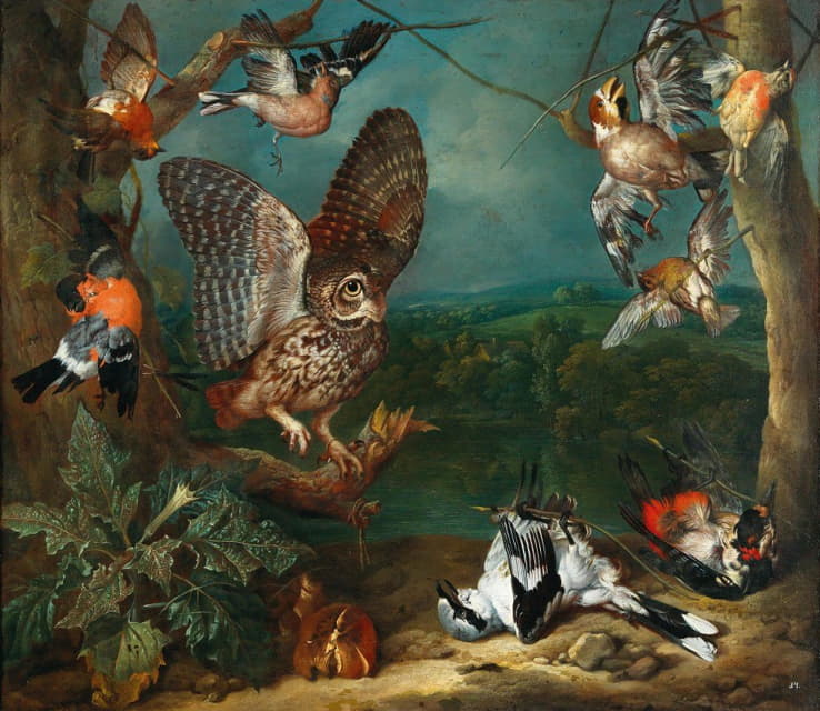 Philipp Ferdinand de Hamilton - An owl and other birds