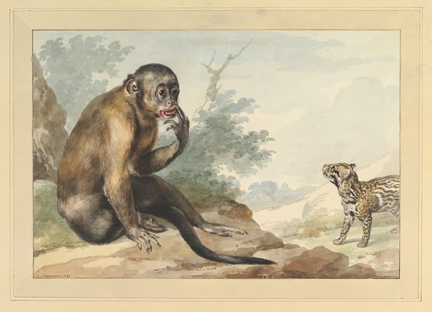 一只猴子坐在岩石上看果子狸