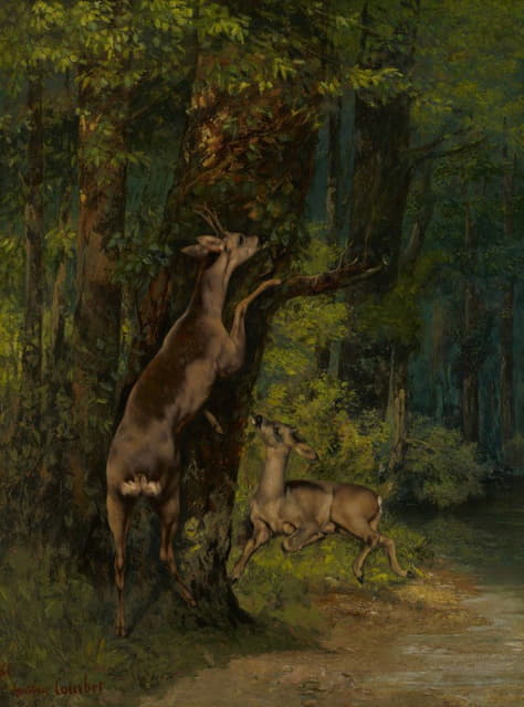 Gustave Courbet - Deer in the Forest