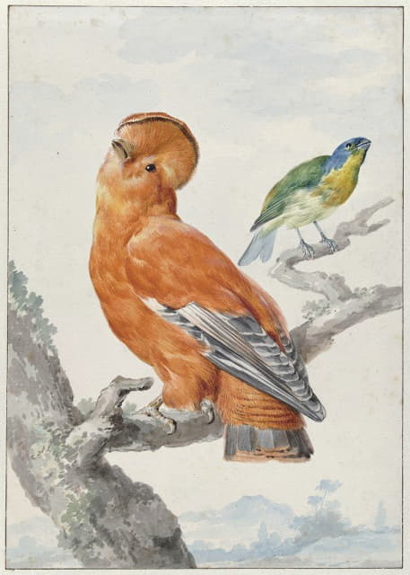 Aert Schouman - Two Exotic Birds