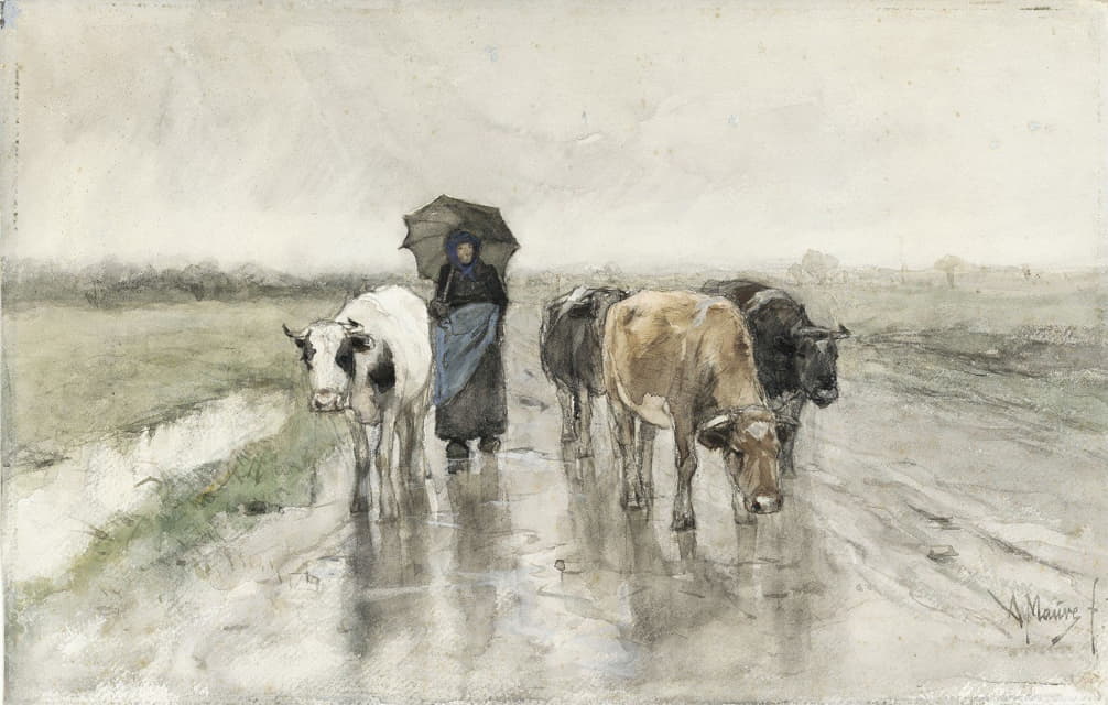 雨中乡间小路上牵着奶牛的女牧人
