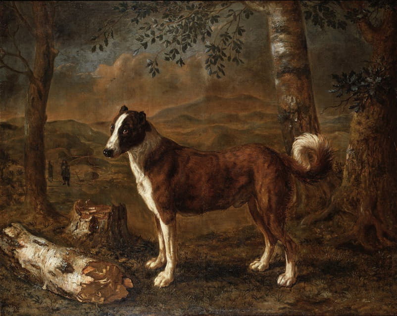 狗和桦木原木