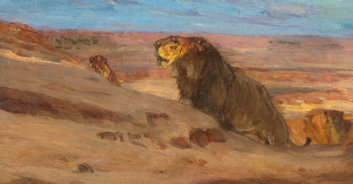 沙漠中的狮子