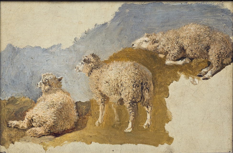 Kilian Zoll - Three Sheep. Study