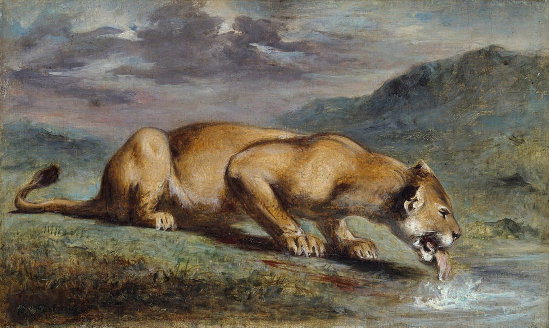 受伤的母狮