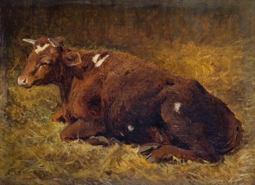 躺在地上的母牛
