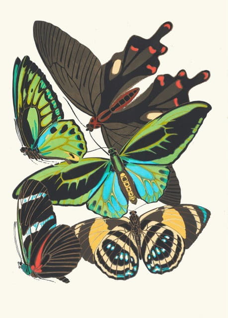Papillons，第1页