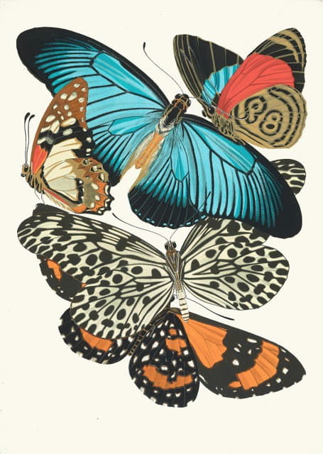 Papillons，第11页