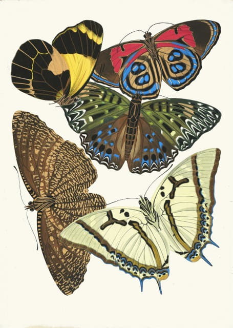 Papillons，第12页