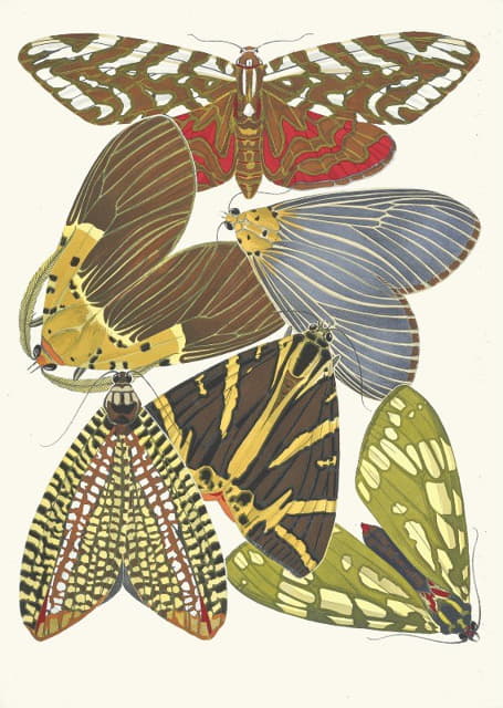 Papillons，第14页
