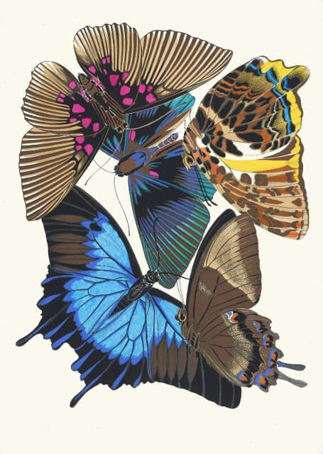 Papillons，第16页
