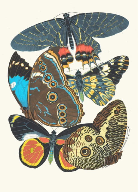 Papillons，第2页