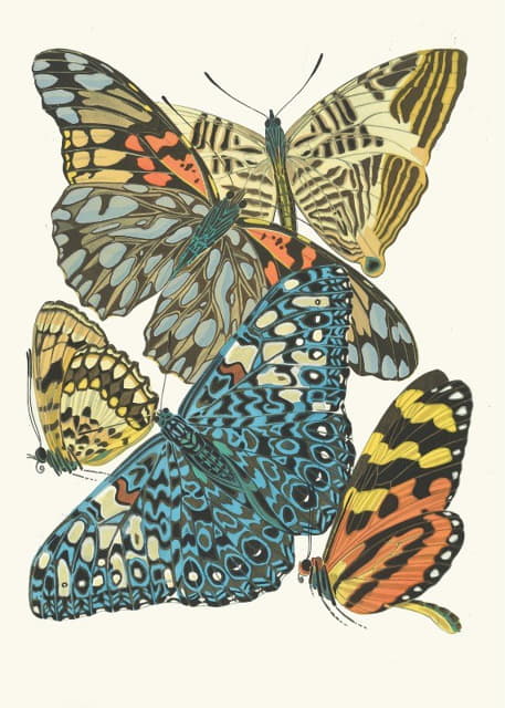 Papillons，第3页