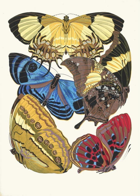 Emile-Allain Séguy - Papillons, Pl. 4