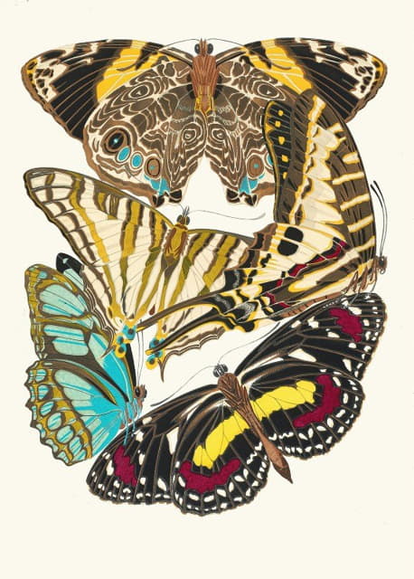 Papillons，第5页