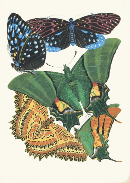 Papillons，第6页