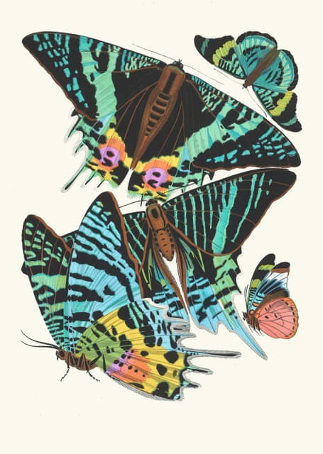 Papillons，第7页