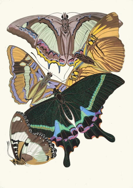 Papillons，第8页