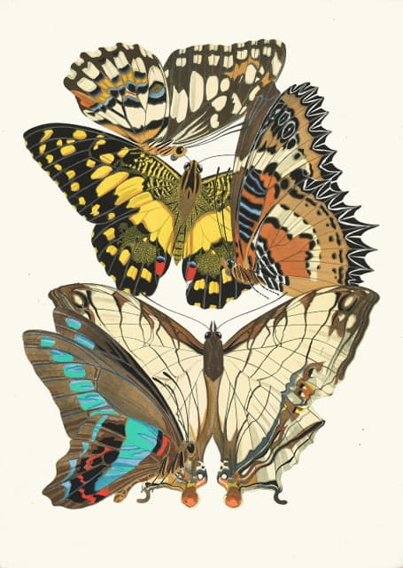 Emile-Allain Séguy - Papillons, Pl. 9