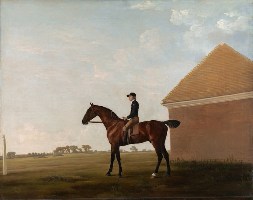 George Stubbs - Turf, with Jockey up, at Newmarket