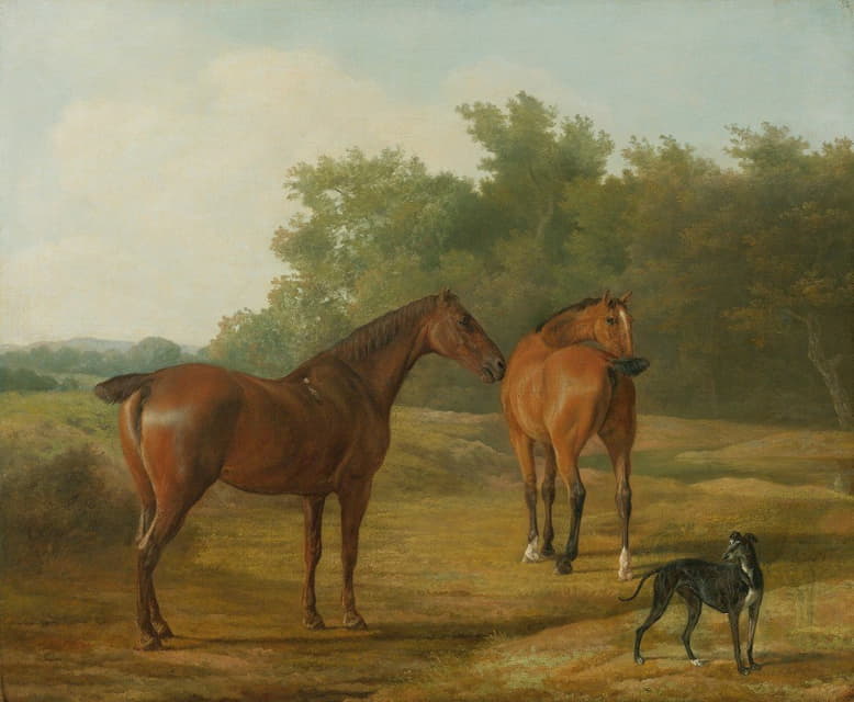 风景中的两匹马和一只灰狗