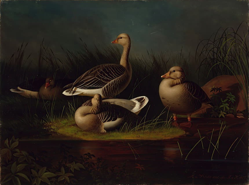 Greylag Geese，模仿Ferdinand Von Wright