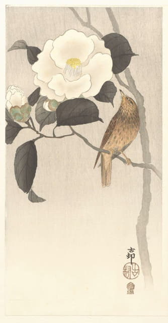 Ohara Koson - Songbird and flowering camellia
