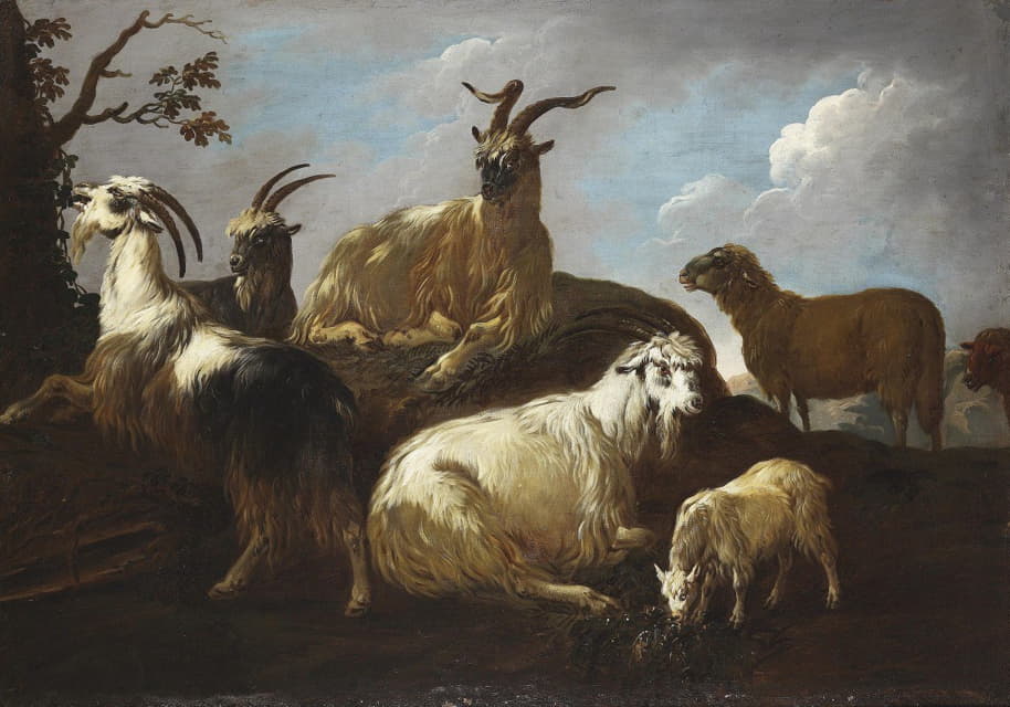 风景中的山羊和绵羊