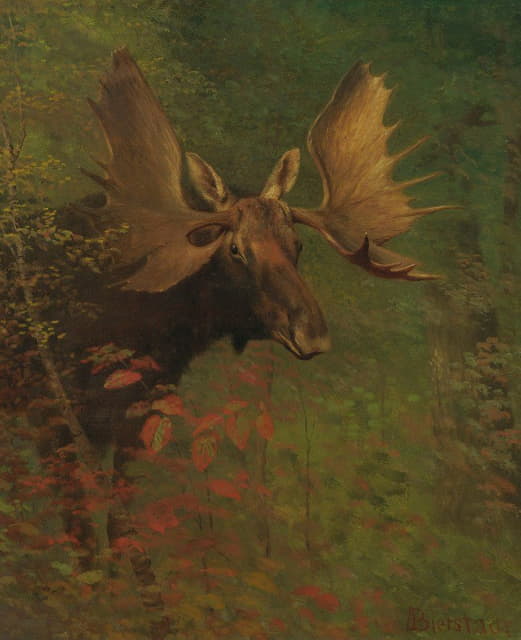 Albert Bierstadt - Study Of A Moose