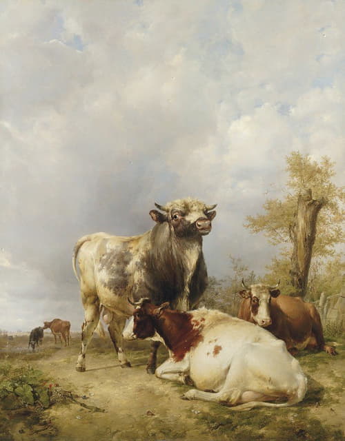风景中的公牛和奶牛