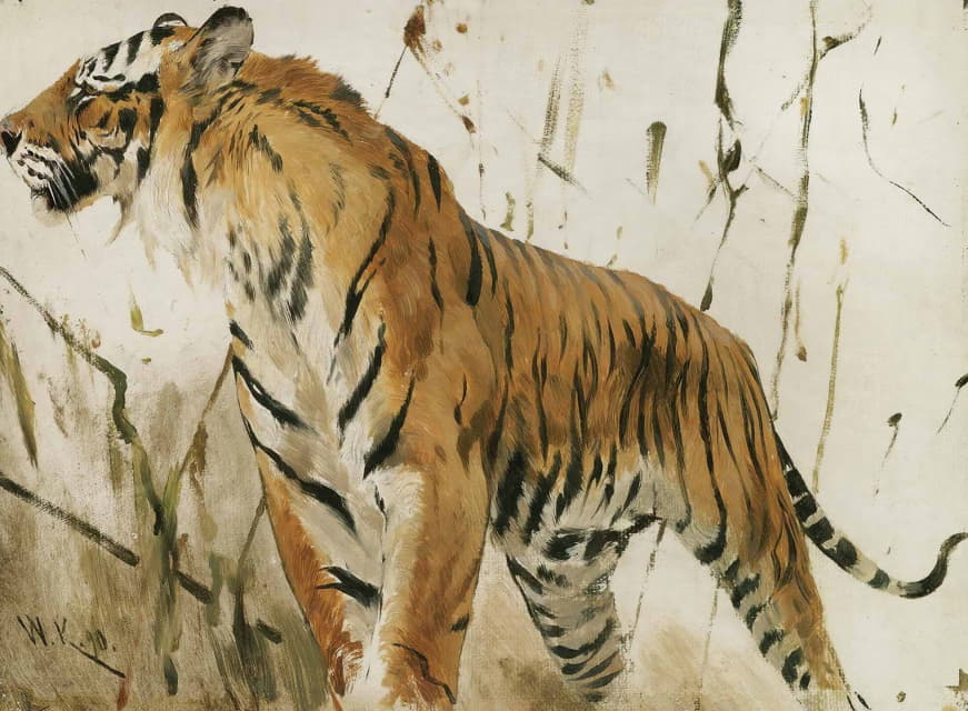 Wilhelm Kuhnert - Study Of A Tiger