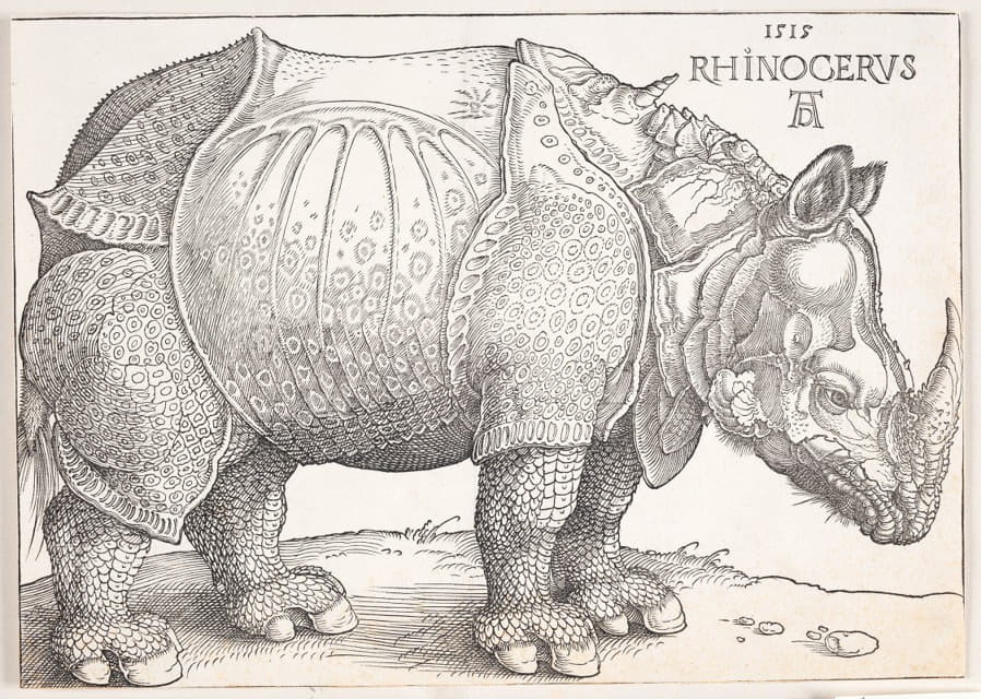 Albrecht Dürer - The rhinoceros