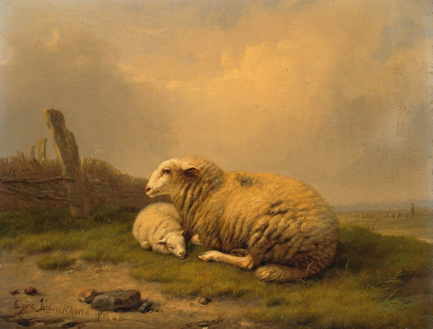 休息的绵羊和羔羊