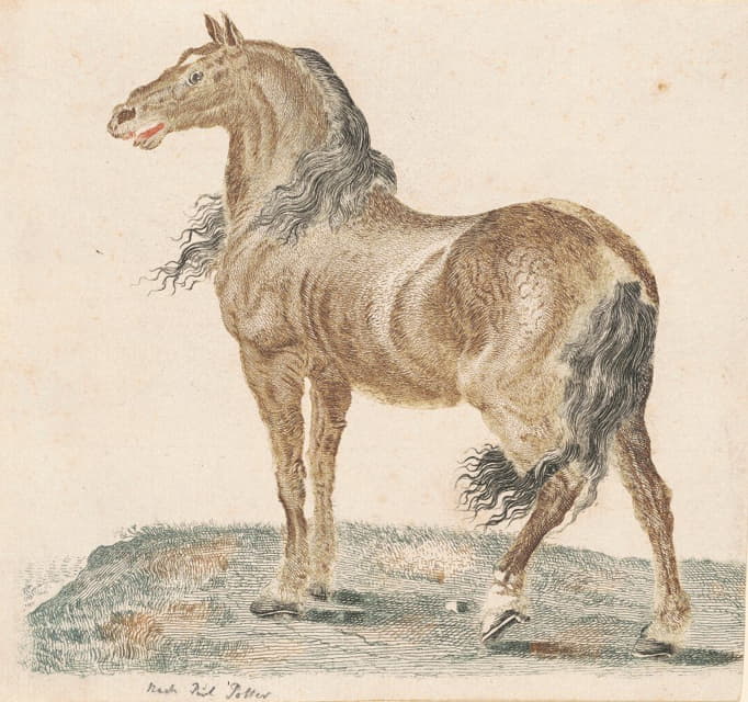 Johann Teyler - The Neighing Horse
