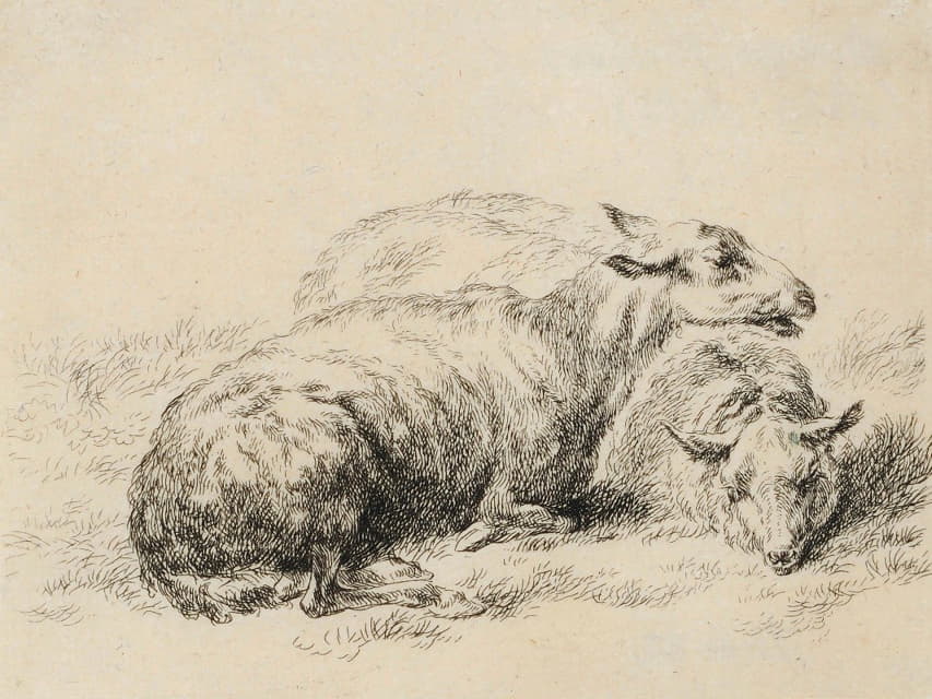 Nicolaes Pietersz. Berchem - Zwei liegende Schafe
