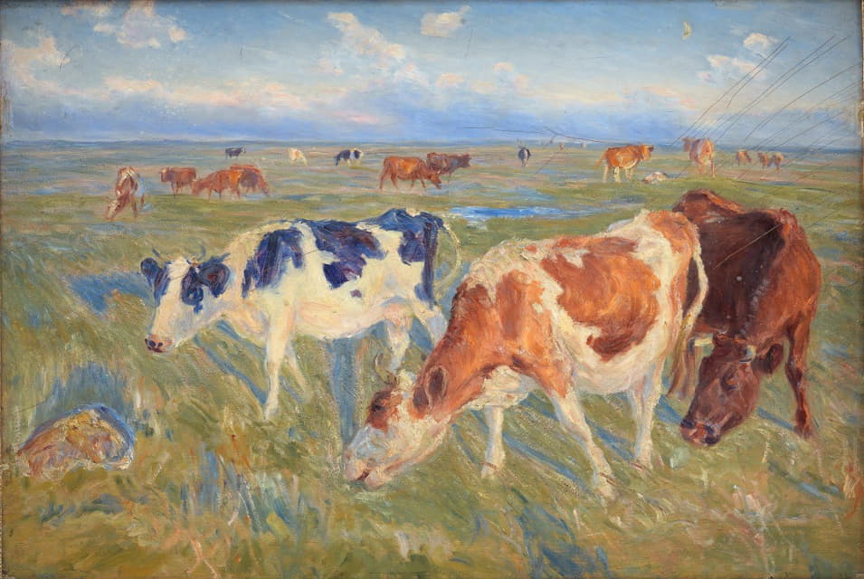 在索尔特霍姆岛上放牧奶牛