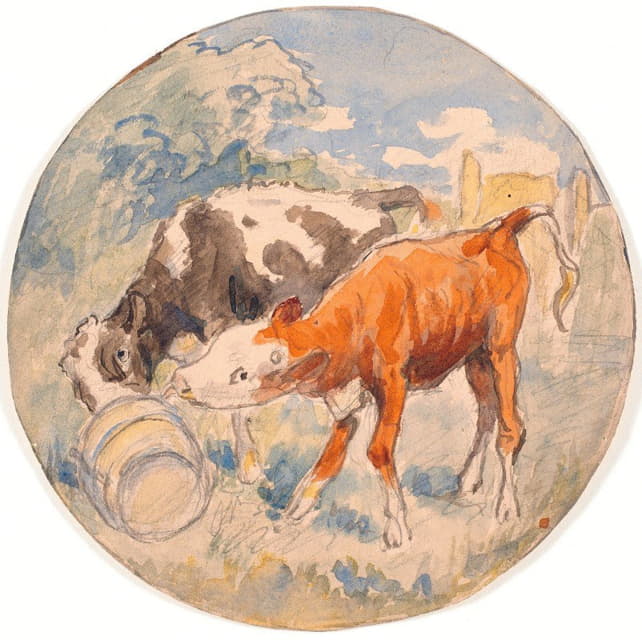 两只小牛在露天舔着一个翻滚的牛奶箱（陶瓷缸）