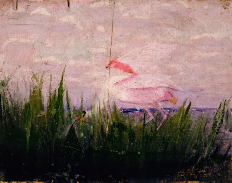 玫瑰琵鹭，习作著《动物王国中的隐藏色彩》