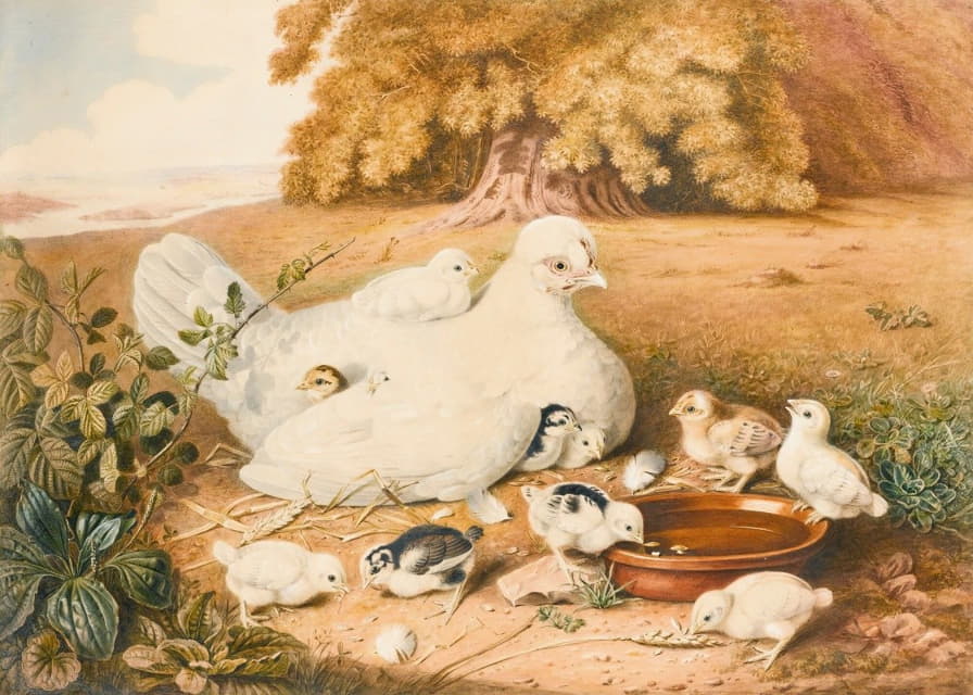Augusta Innes Withers - A Hen With Her Chicks