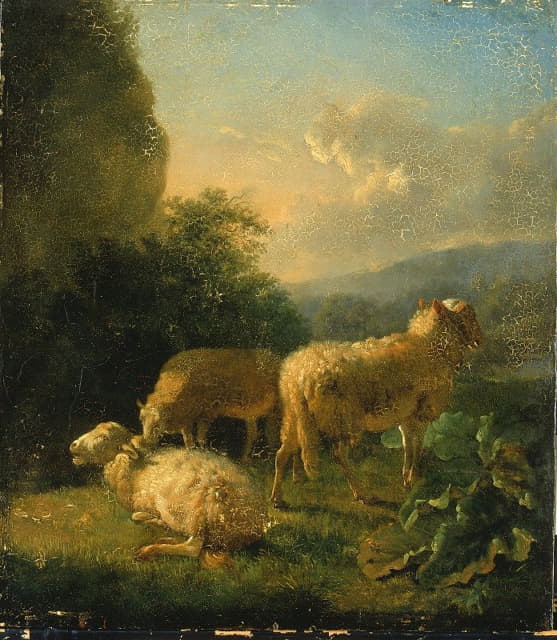 Balthasar Paul Ommeganck - Sheep