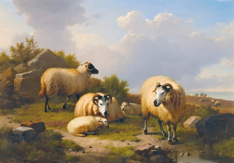 苏格兰风景中的羊