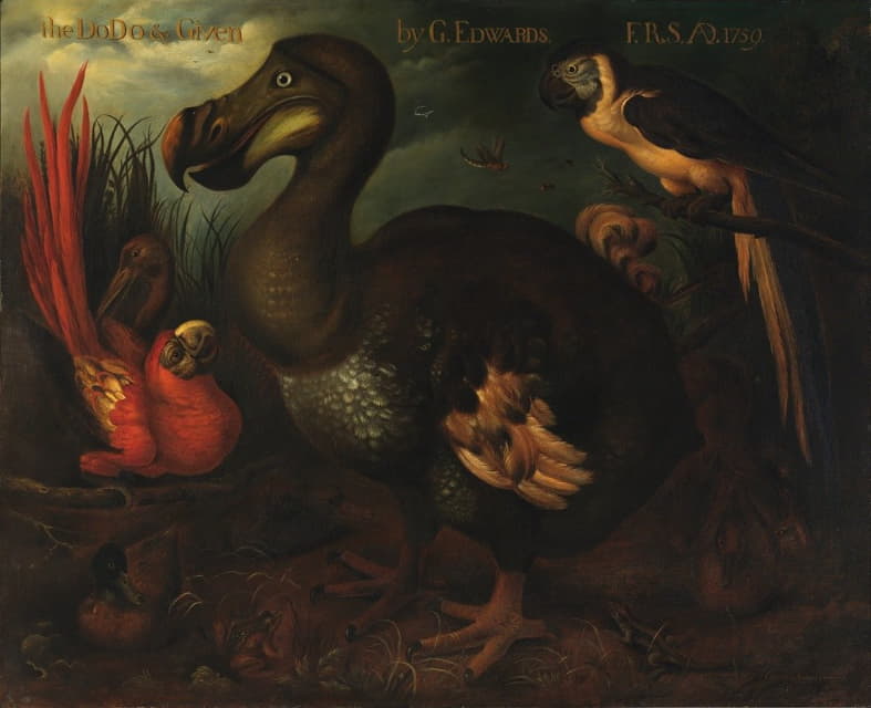 Henrik Gronvold - The Dodo and Given